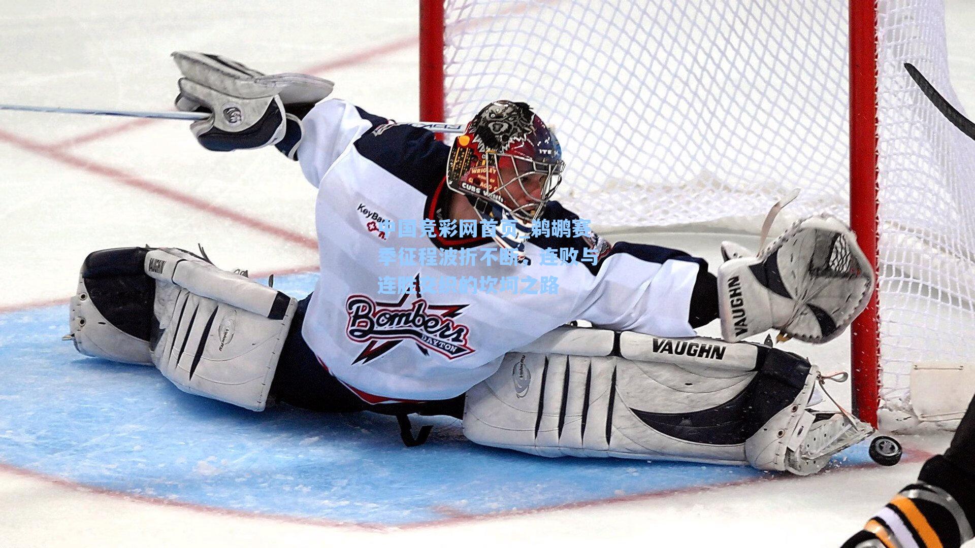 鹈鹕赛季征程波折不断，连败与连胜交织的坎坷之路