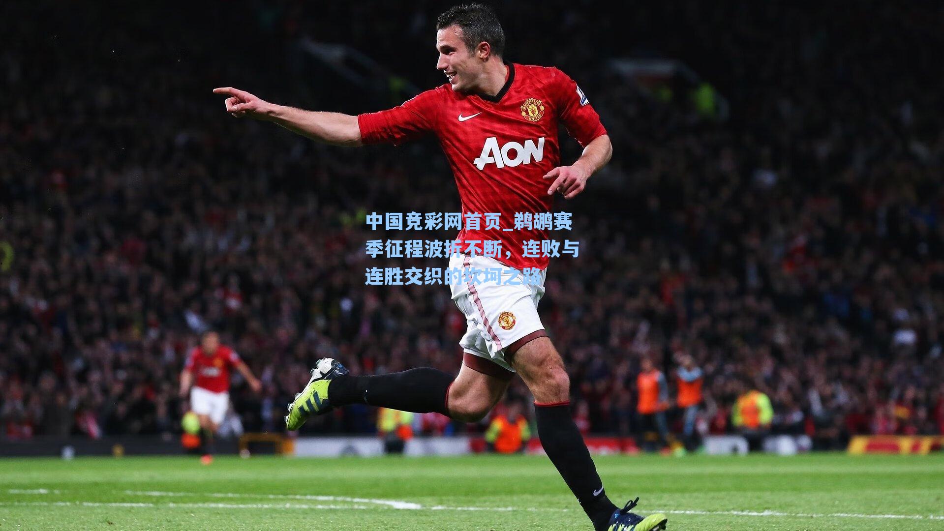 鹈鹕赛季征程波折不断，连败与连胜交织的坎坷之路